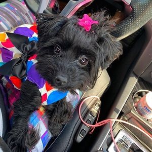 Meet your Posher, Stefanii